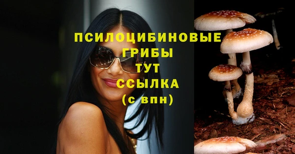 стаф Киреевск