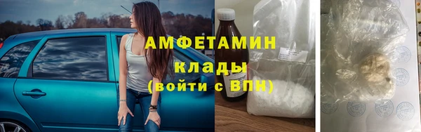 сатива Козельск
